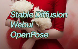 Open pose feature